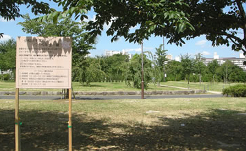 小松川千本桜バーベキュー場