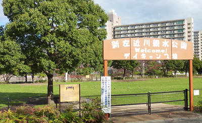 新左近川親水公園 デイキャンプ場