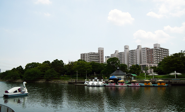 新左近川親水公園