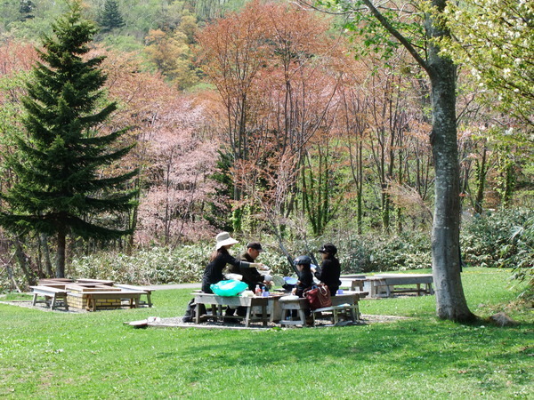 デイキャンプ場