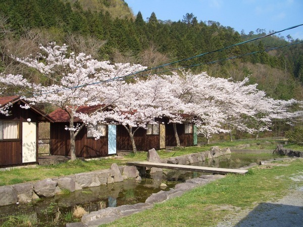 春の景色