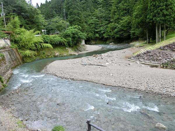 川底が透き通って見える流れる川