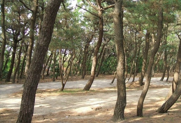 お台場公園キャンプ場