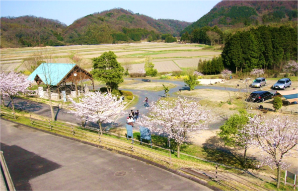 オートキャンプ場サイト