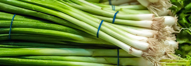 ＜ねぎ（ネギ）＞バーベキューでオススメの野菜食材･材料