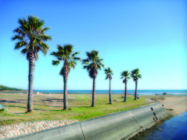 キワ・ラ・ビーチ（岐波海水浴場）