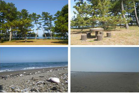 公園イメージ
