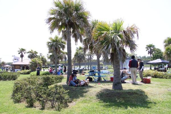 みやざき臨海公園　サンビーチ一ツ葉