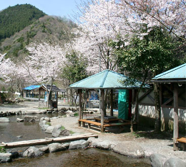 場内風景