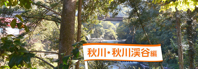 秋川・秋川渓谷周辺のおすすめバーベキュー場はここだ！