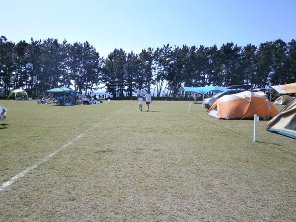 渚園キャンプ場