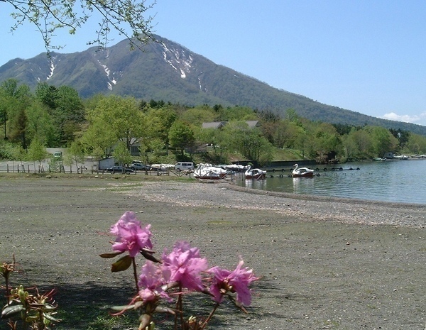 春の場面