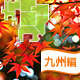 九州エリアで紅葉も楽しめるオススメのバーベキュー場はここだ！