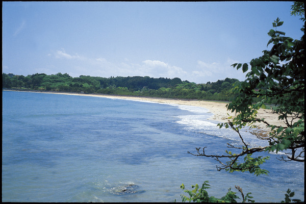 気仙沼大島