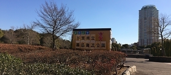 千葉県立幕張海浜公園