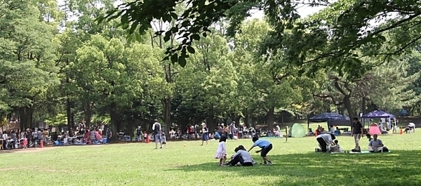 全景