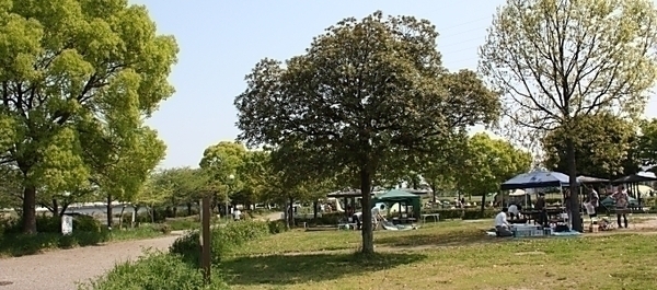 BBQ場