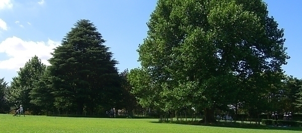 青葉の森公園バーベキューサービス