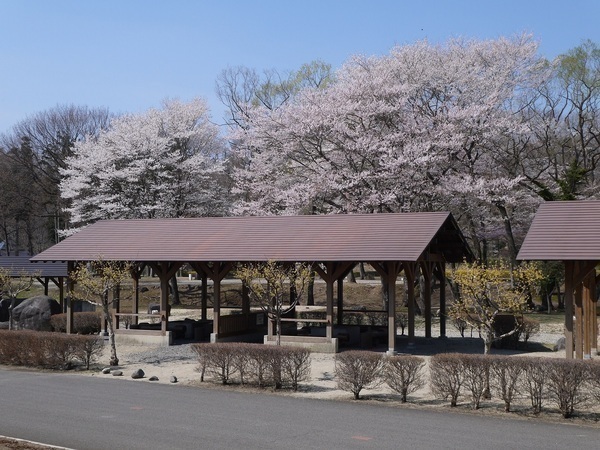 BBQ場（屋根あり）