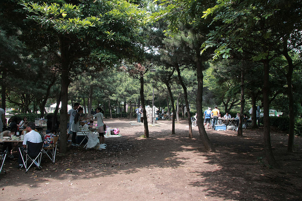 会場イメージ