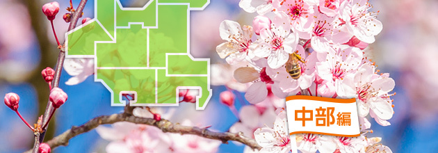 [2016]中部エリアの花見も楽しめるバーベキュー場7選！