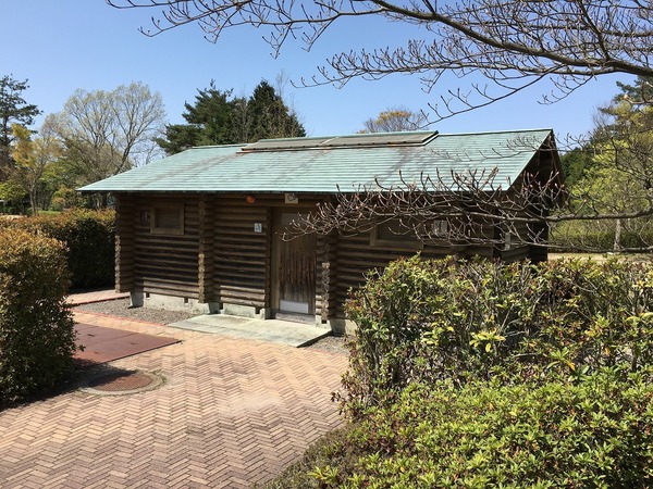 お手洗い