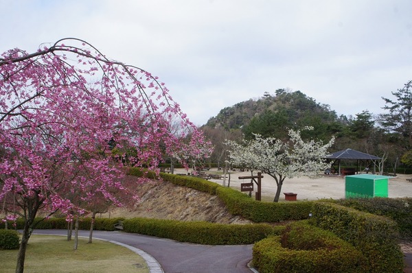 デイキャンプ場