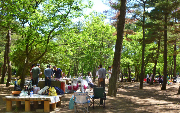 バーベキュー広場