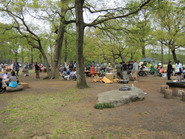 秋ヶ瀬公園 バーベキュー