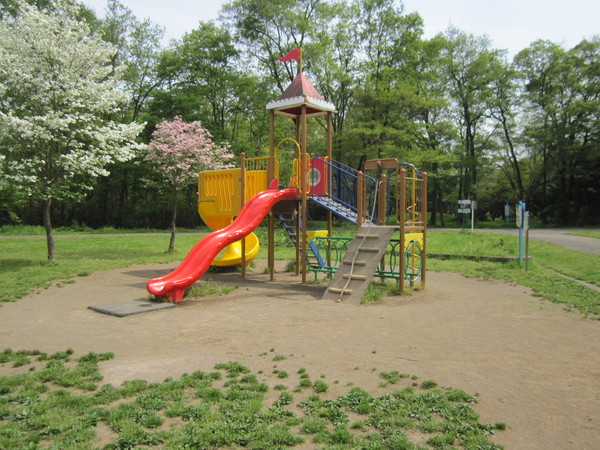 子どもの森近くの遊具