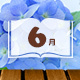 6月に読みたい！バーベキュー情報まとめ[2016]