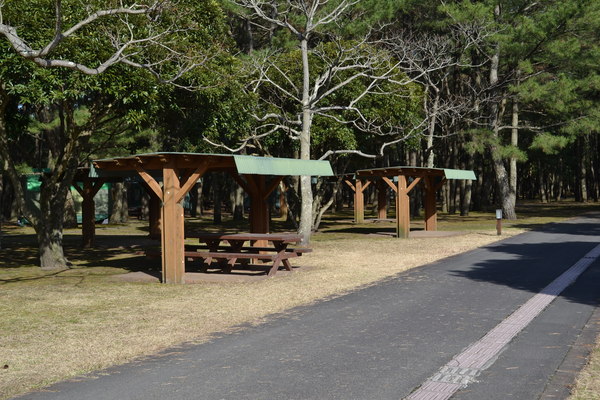 鹿児島県立 吹上浜海浜公園