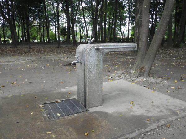 水飲み場