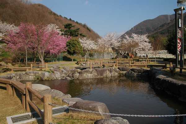 公園風景