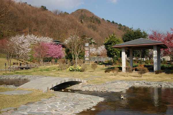 公園風景