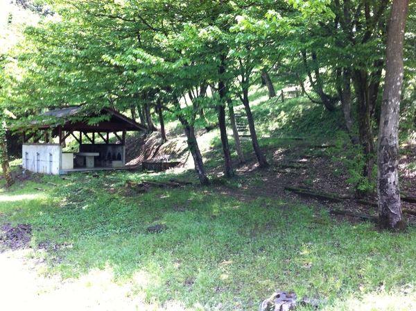 キャンプエリア
