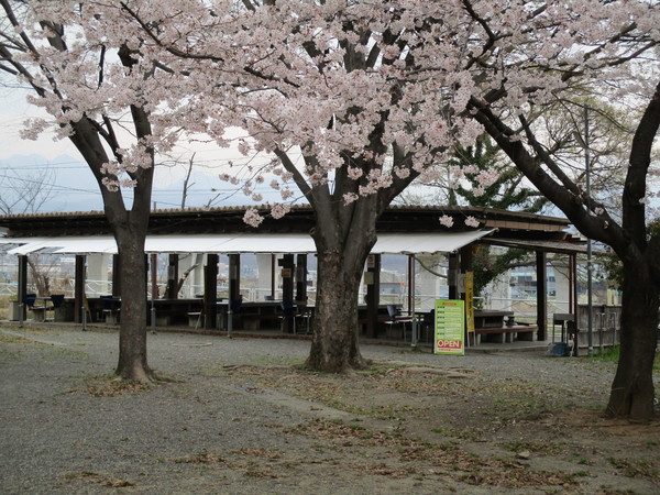 バーベキュー場