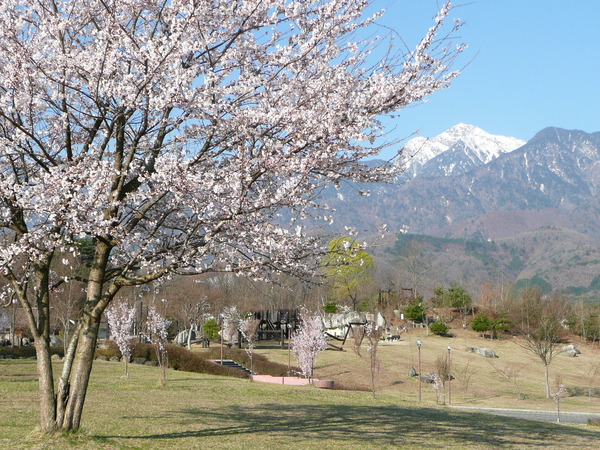 景色