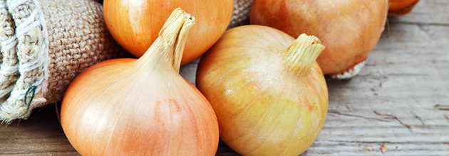 ＜玉ねぎ＞バーベキューでオススメの野菜食材･材料