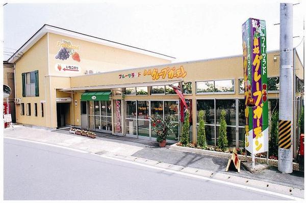 フルーツランド 白根グレープガーデン