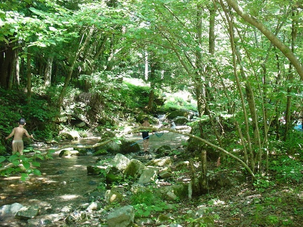 芦川