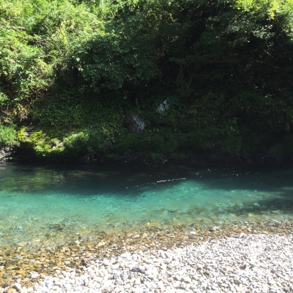 清流神崎川