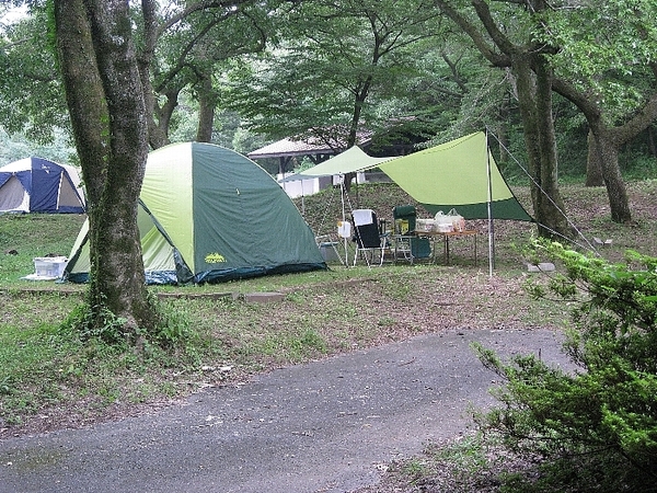 持ち込みフリーテントサイト（区画のみ）