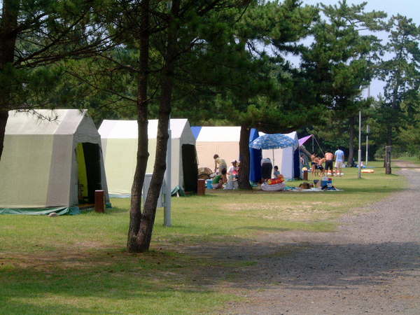 キャンプ場