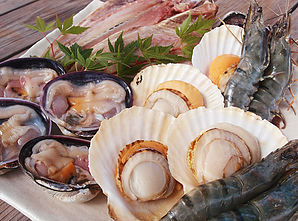 浜焼きコース