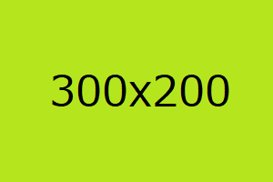 【テスト】ALT_画像の説明300x200写真位置左