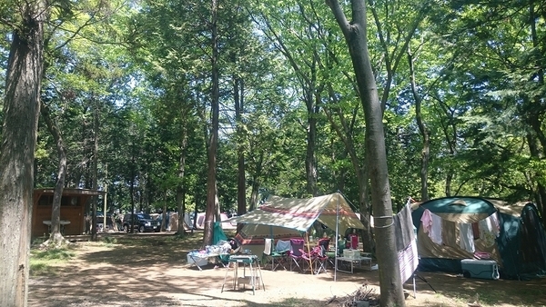 ダイニングガーデン