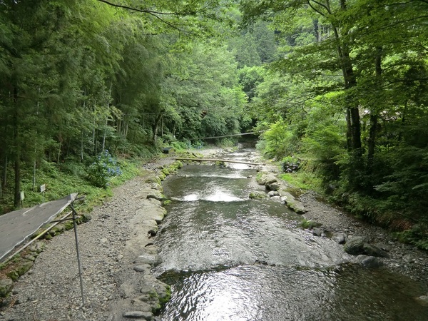大丹波川国際虹ます釣場