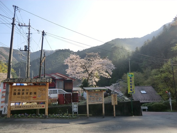 大丹波川国際虹ます釣場