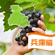 兵庫県で秋の収穫・果物狩りが楽しめるバーベキュースポット6選！＜子供OK＞